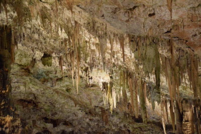 Postojna Cave