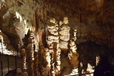 Postojna Cave