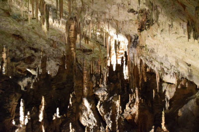 Postojna Cave