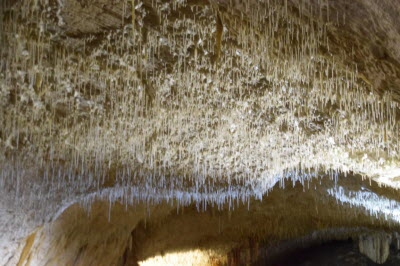 Postojna Cave