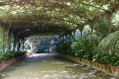 Botanical garden "la Concepcion"