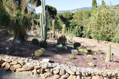Botanical garden "la Concepcion"